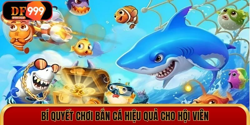 Bí quyết chơi bắn cá hiệu quả cho hội viên